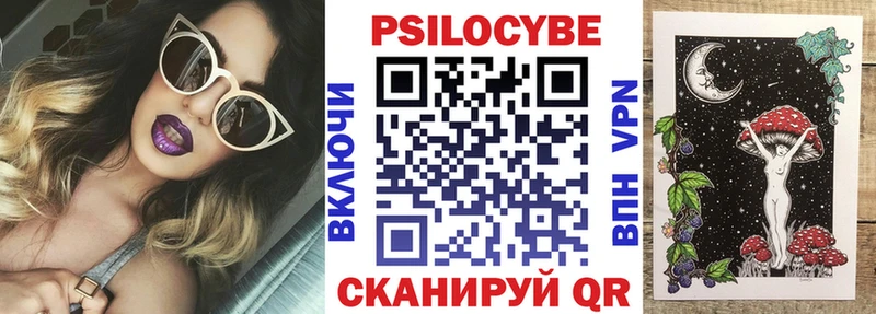 Псилоцибиновые грибы Psilocybine cubensis Черняховск