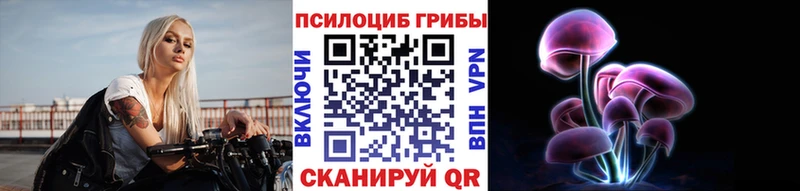 Псилоцибиновые грибы GOLDEN TEACHER нарко площадка состав Черняховск