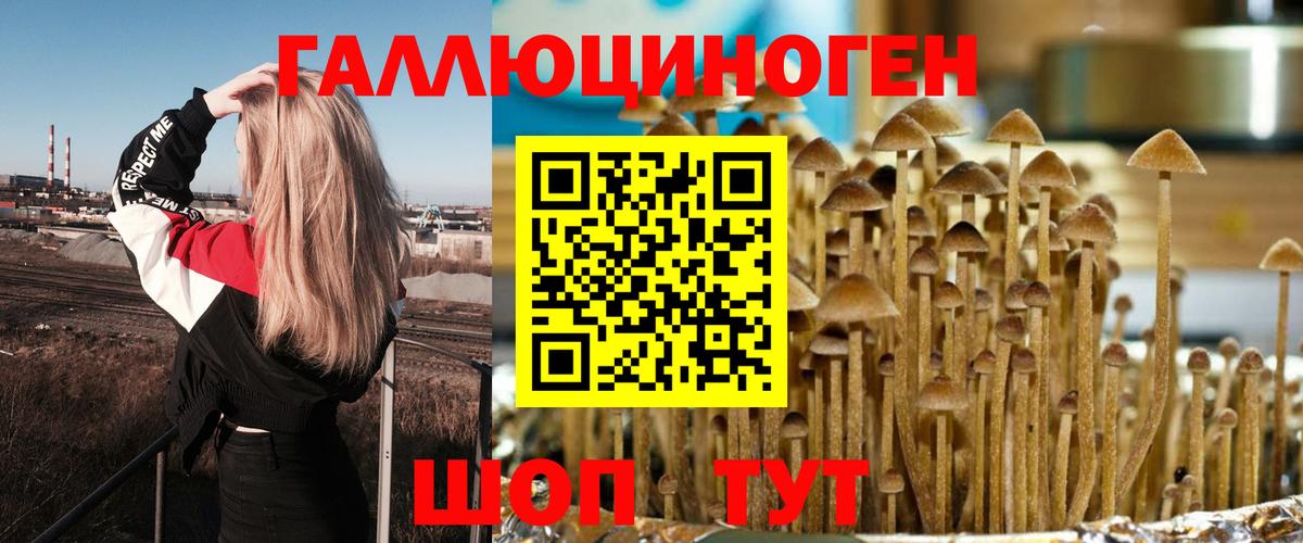 Черняховск  Псилоцибиновые грибы ЛСД  купить закладку  Вход с VPN 